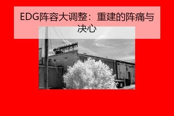 EDG阵容大调整：重建的阵痛与决心